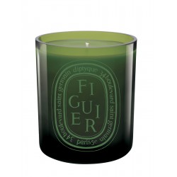 Coloured candle Figuier/ Fig Tree "Green"