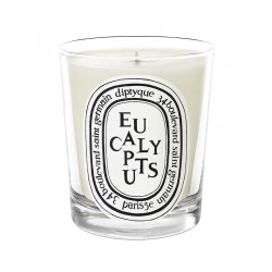 Scented candle Eucalyptus